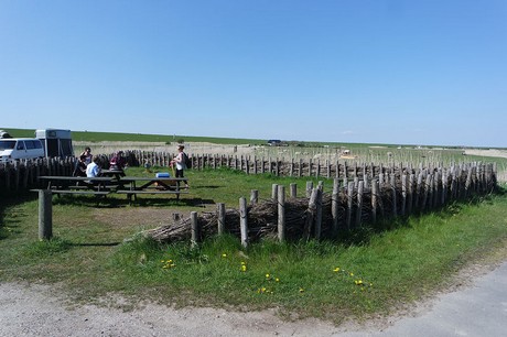 Westerhever