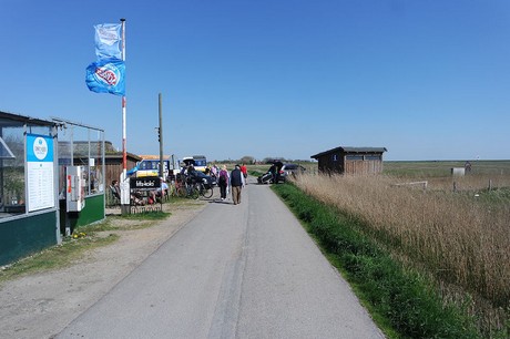 Westerhever