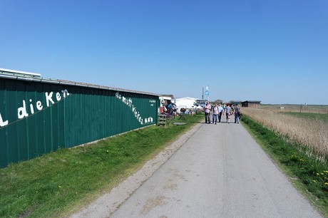 Westerhever