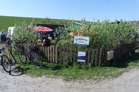 Westerhever