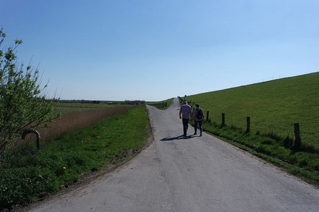 Westerhever