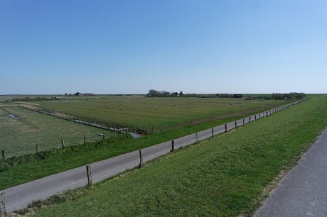 Westerhever
