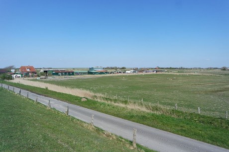 Westerhever