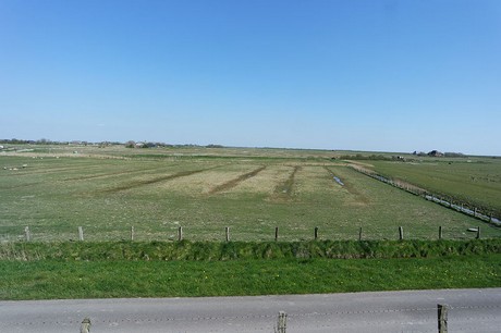 Westerhever