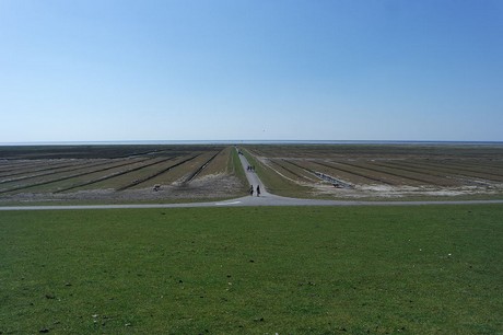 Westerhever