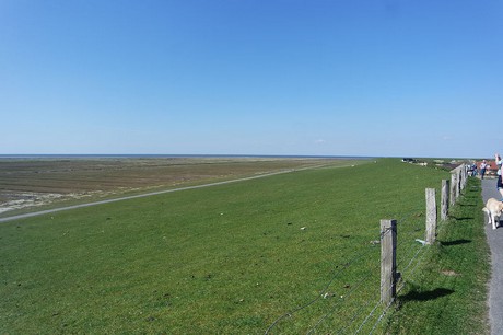 Westerhever