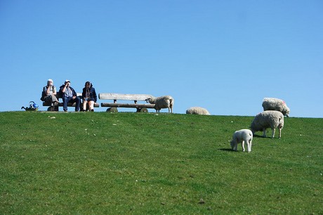 Westerhever
