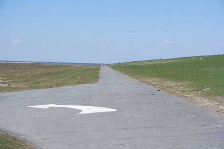 Westerhever