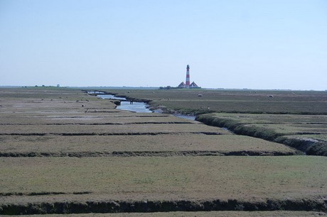 Westerhever