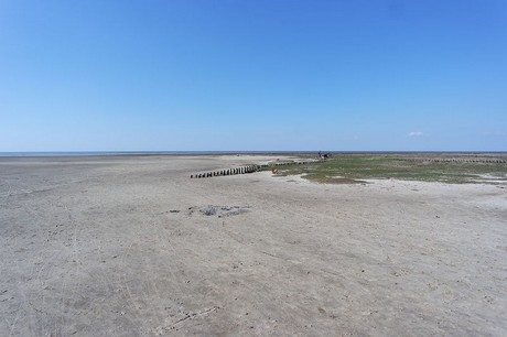 Westerhever