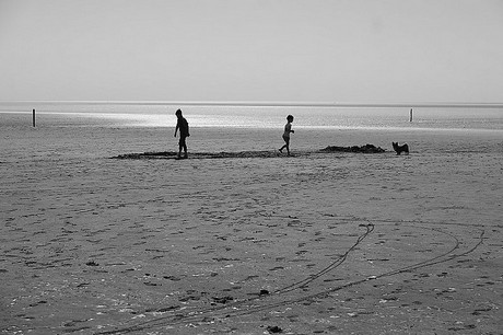 Westerhever