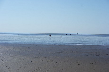 Westerhever