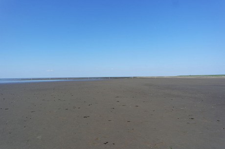 Westerhever