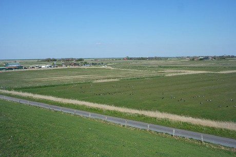 Westerhever