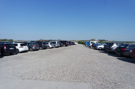Westerhever