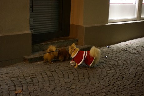 Wiesbaden