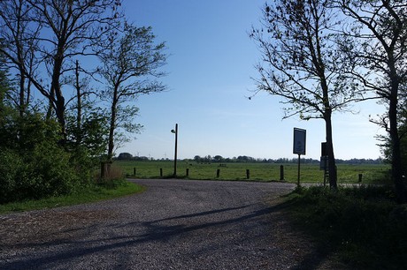 Witzwort