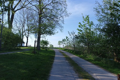 Witzwort