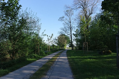 Witzwort