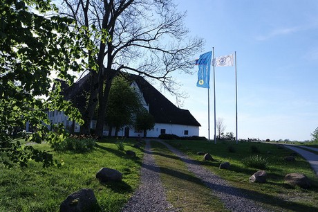 Witzwort