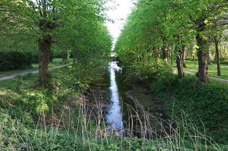 Witzwort