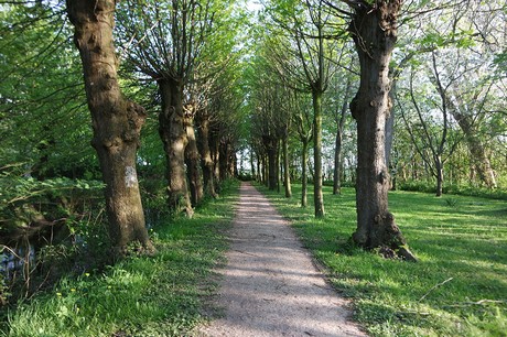 Witzwort