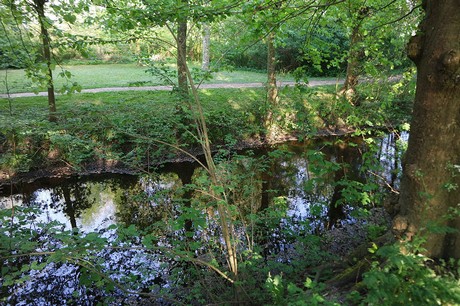 Witzwort