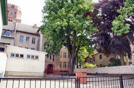 wolgast