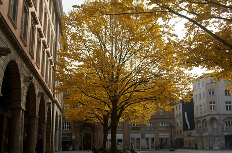 wuppertal