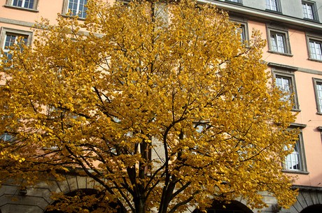 wuppertal