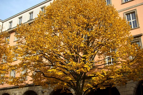 wuppertal