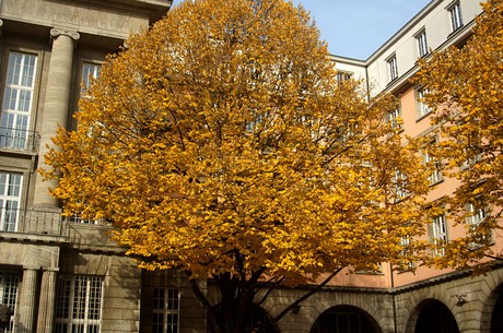 wuppertal