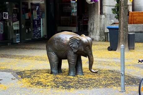 wuppertal