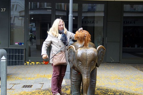 wuppertal