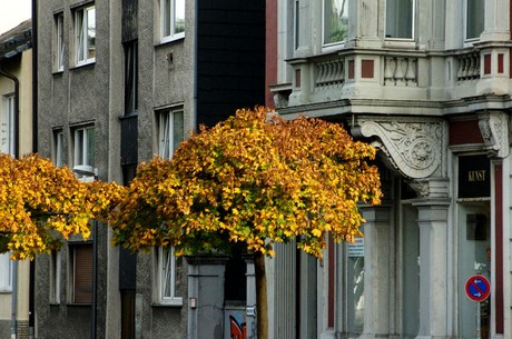 wuppertal
