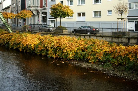 wuppertal