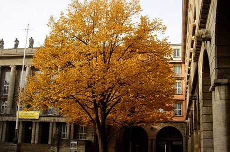 wuppertal