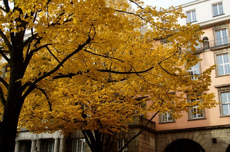 wuppertal