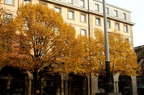 wuppertal