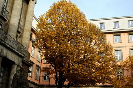 wuppertal