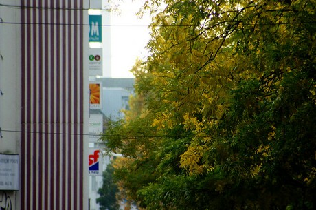 wuppertal