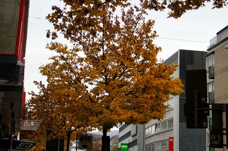 wuppertal