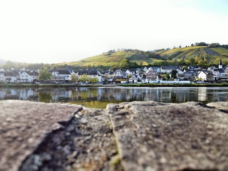 Zell