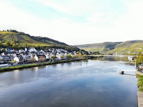 Zell