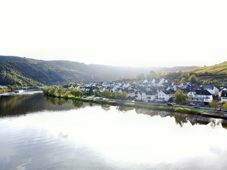 Zell