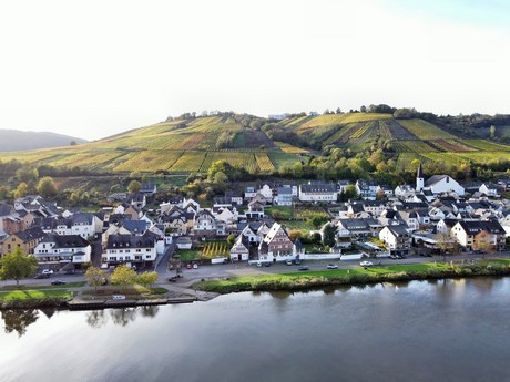 Zell