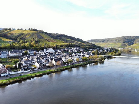 Zell