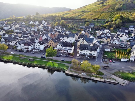 Zell