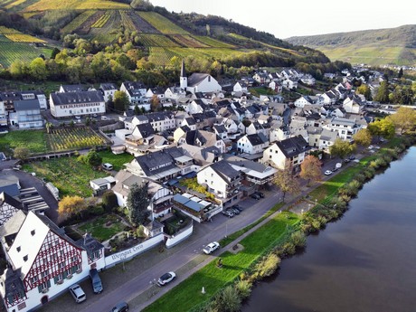 Zell