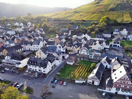 Zell